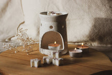 Load image into Gallery viewer, Black Fig & Vetiver Soy Wax Melts