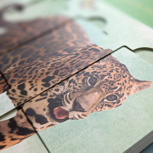 Little Wonders Puzzle Slider Books - Jungle Animals