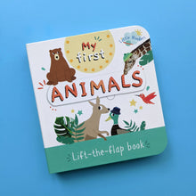 Load image into Gallery viewer, Little Wonders My First Mini Lift The Flap Book
