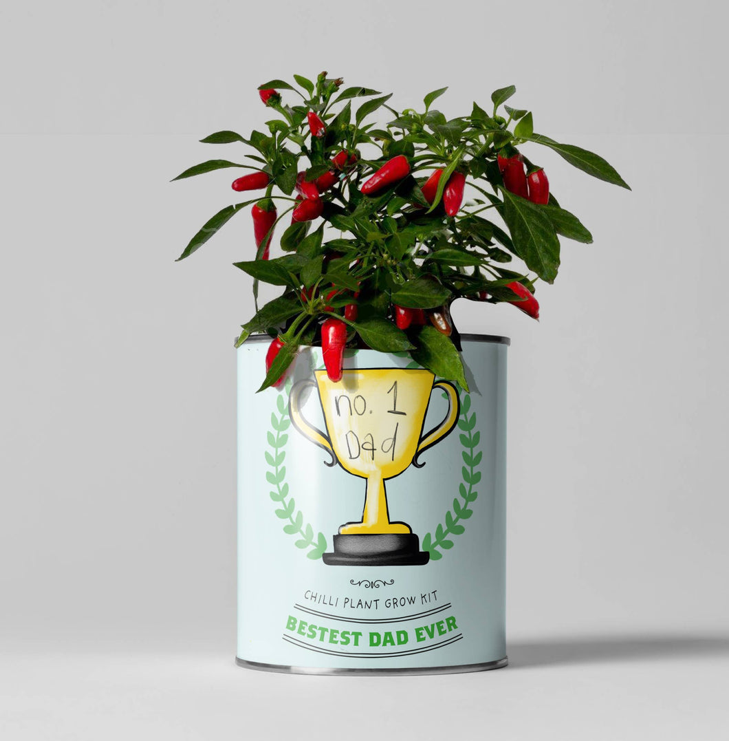 Number One Dad. Eco Grow Your Own Chilli Plants Kit