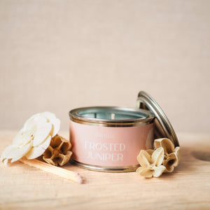 Frosted Juniper Paint Pot Candle | Small Candles in Tins