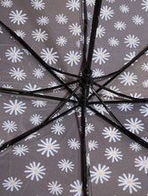 Load image into Gallery viewer, Daisy Umbrella
