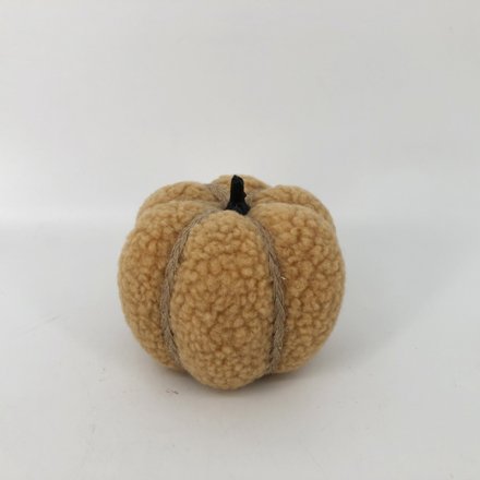 Woolly Pumpkin
