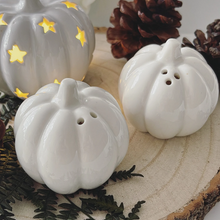 Load image into Gallery viewer, Pumpkin Salt &amp; Pepper Shakers
