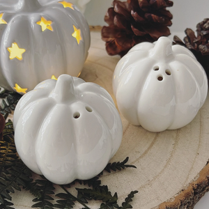 Pumpkin salt and outlet pepper shakers